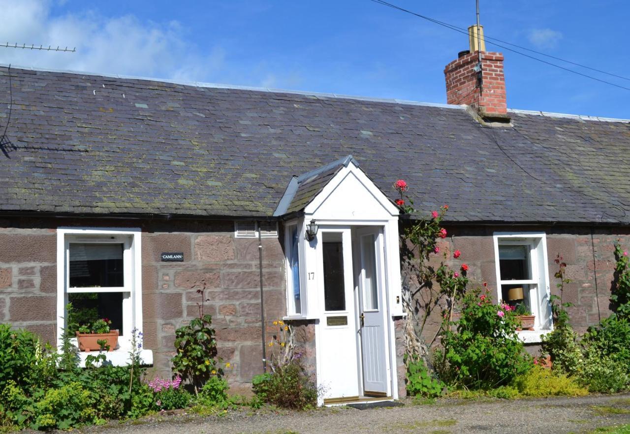 Apartmán Camlann Alyth Exteriér fotografie